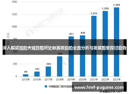 深入解读加的夫城目前所处联赛级别的全面分析与发展前景探讨趋势